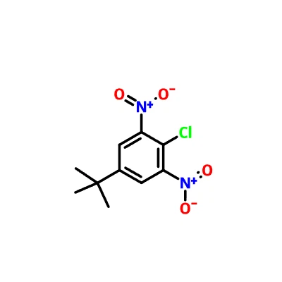 CAS 2213-81-2|2-Clor-5-(1,1-dimetiletil)-1,3-dinitrobenzè