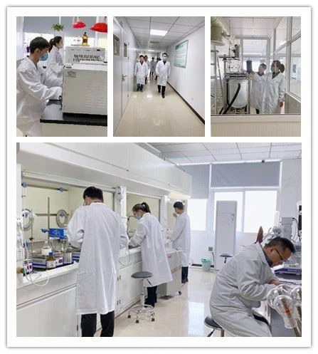 CAS:3749-51-7 | 2,4-DIHYDROXY-6-METHYLPYRIDINE