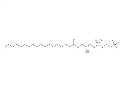CAS:19420-57-6丨1-Stearoyl-sn-glycero-3-phosphocholine